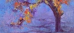 Tree Study - Northern Cape | 2024 | Oil on Canvas | 42 x 34 cm